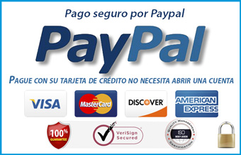 pago-seguro-paypal