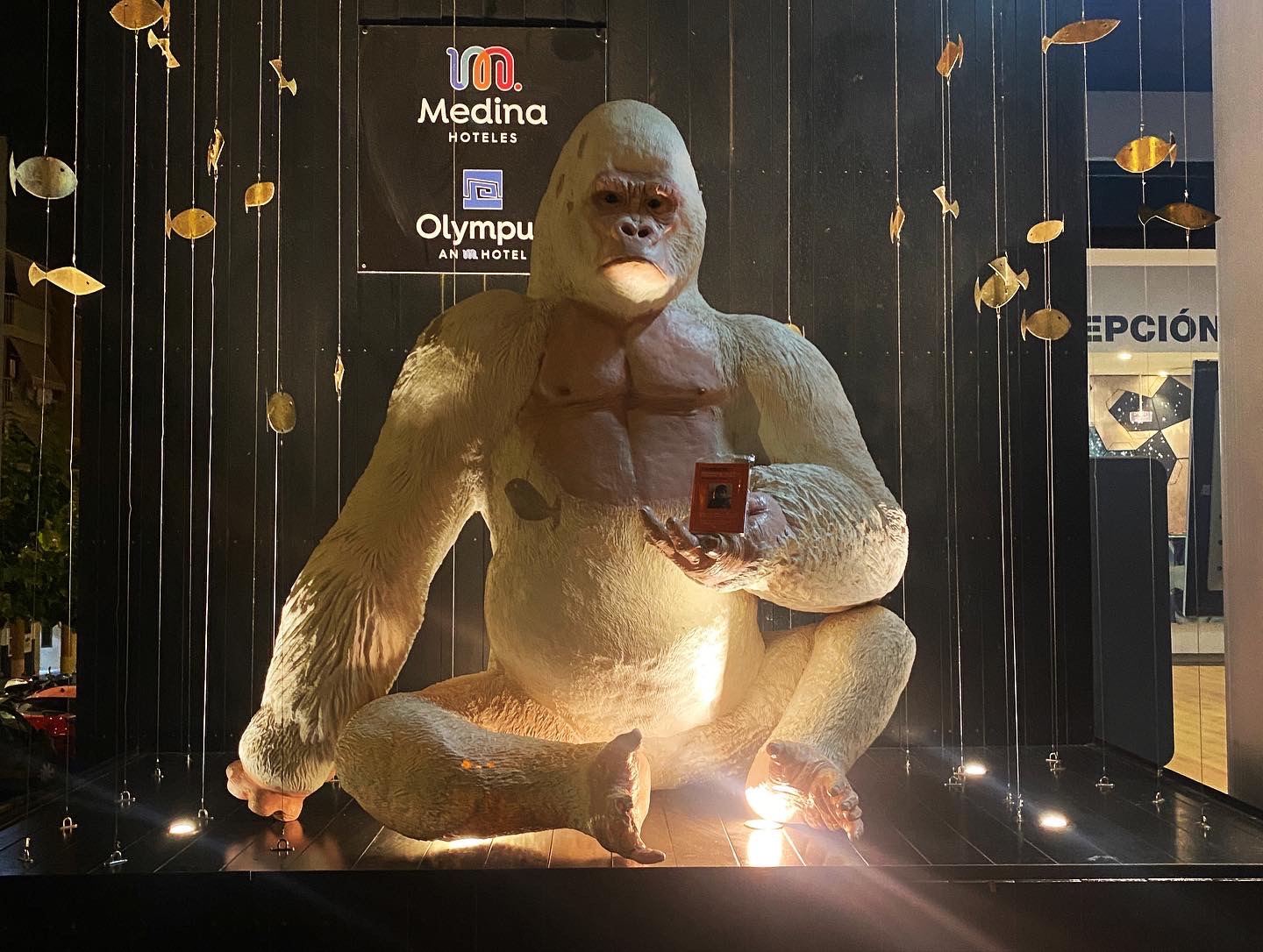 copito-de-nieve-benidorm-con-libro-reflexiones-inefables