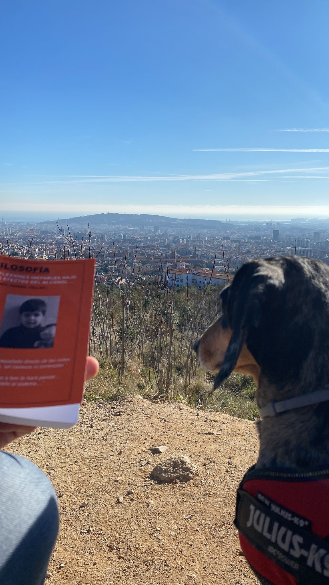 el-perro-de-vero-leyendo-libro-reflexiones-inefables-uno