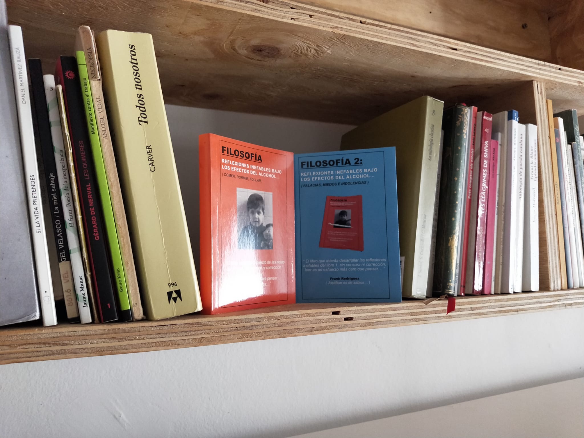 estanteria-casa-bartomeu-poeta-fan-secreto-de-los-libros-reflexiones-inefables